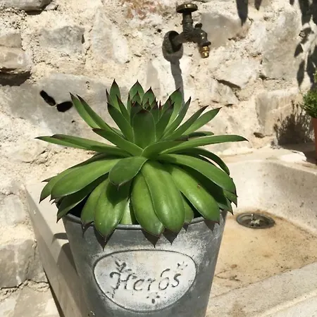 Cvita Сasa de vacaciones Lozovac