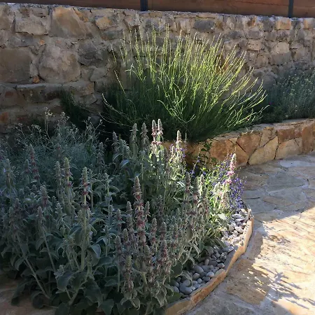 Cvita לוזובאק