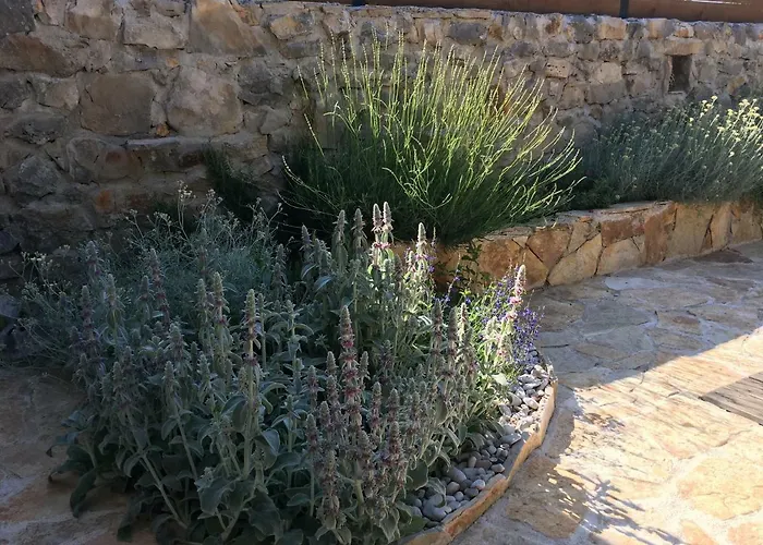 Holiday Cvita Lozovac